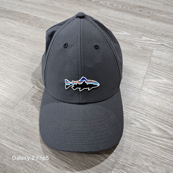 Patagonia Dark Gray Cap - Picture 1 of 6